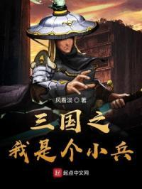 三国之我是个小兵封面