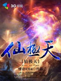仙极天封面