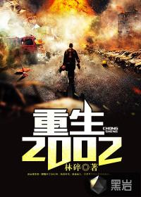 重生2002封面