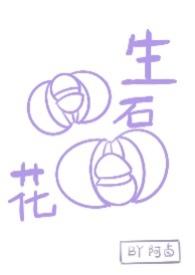生石花H封面