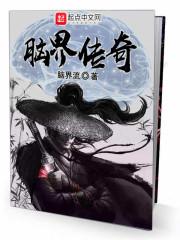 脑界传奇封面