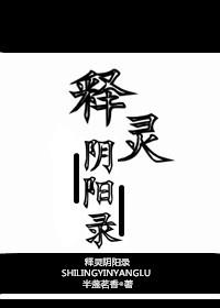 释灵阴阳录封面