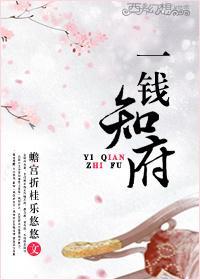 一钱知府封面