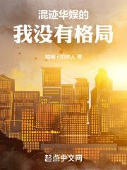 混迹华娱的我没有格局封面