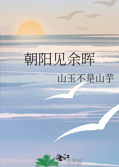 朝阳见余晖封面