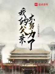 我的父亲太努力了封面