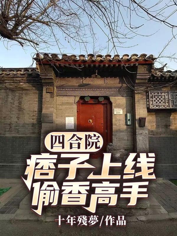 四合院：痞子上线，偷香高手封面