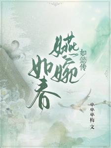 如懿传：嬿婉如春封面