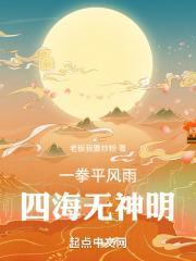 一拳平风雨，四海无神明封面