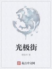 光极街封面