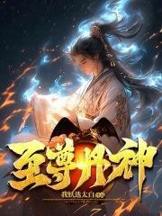 至尊丹神封面