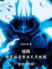 综网：终焉的守望之无尽词缀封面
