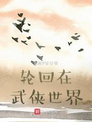 轮回在武侠世界封面
