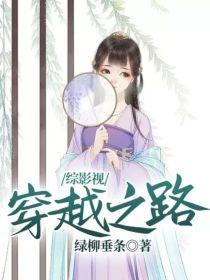 综影视：穿越之路封面