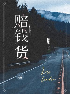 赔钱货封面