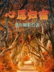 心愿归宿封面