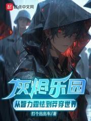 灰烬乐园：从智力露怯到莽穿世界封面