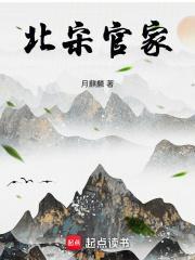 北宋官家封面