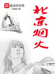 北京烟火封面