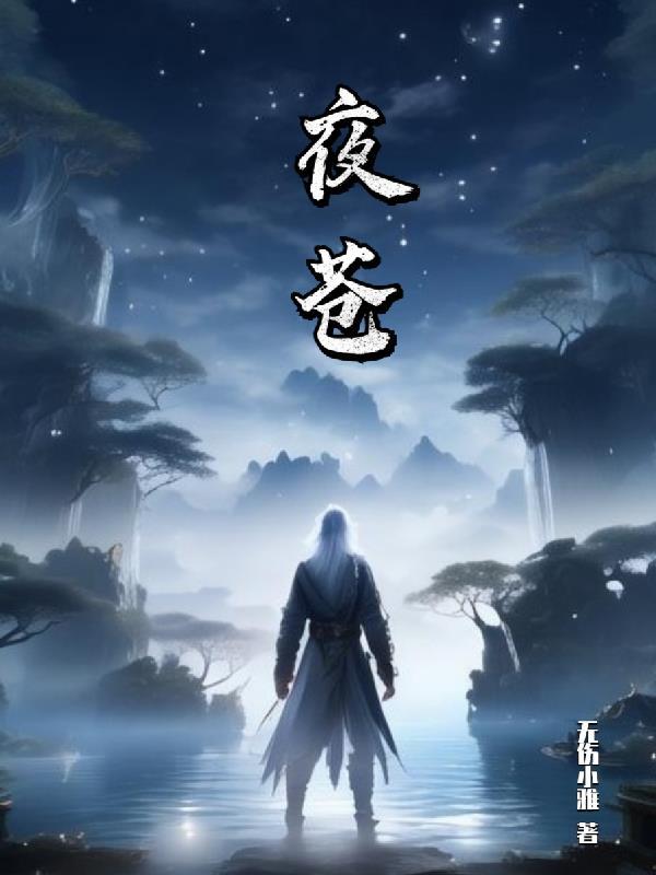 夜苍封面