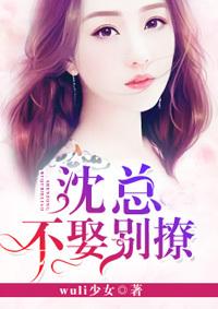 林夕颜沈司谨律师封面