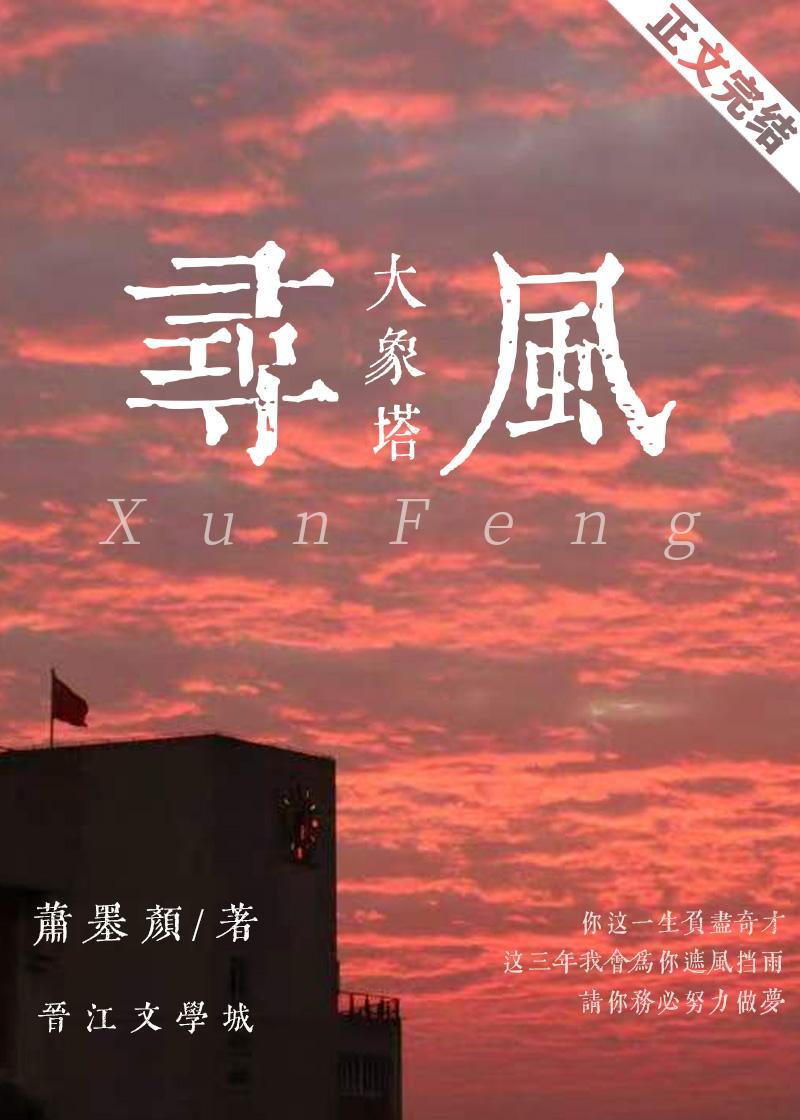 大象塔·寻风封面