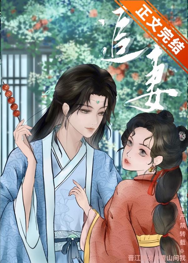 太子追妻笔札封面