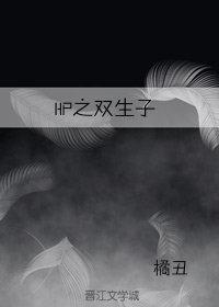 HP之双生子封面