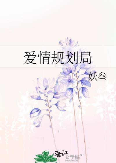爱情规划局封面