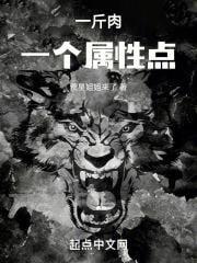 一斤肉一个属性点封面
