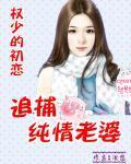 权少的初恋：追捕纯情老婆封面