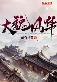 大魏风华封面