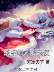 全职法师之终结的太阳天使封面