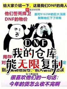 DNF：我的仓库能无限复制封面