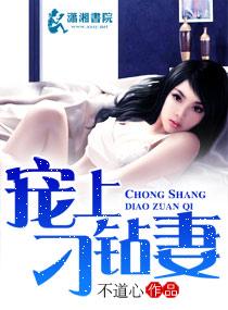 宠妻之一女二夫封面