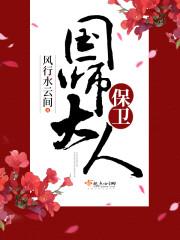 保卫国师大人封面