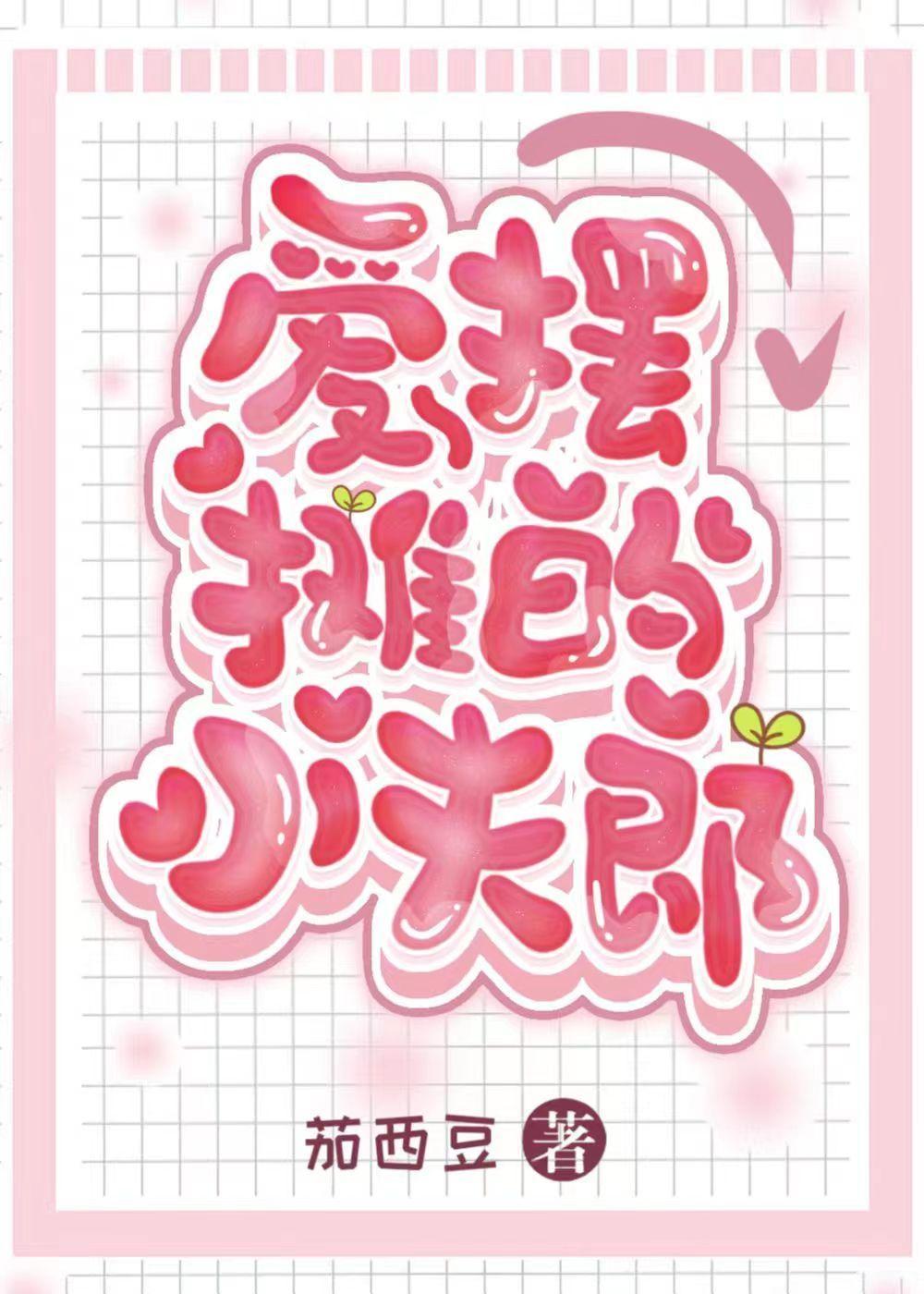 爱摆摊的小夫郎封面