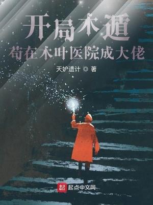 寻宝三国封面