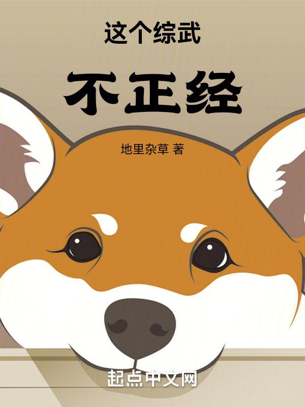 这个综武不正经封面