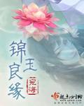 锦玉良缘封面