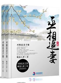 嫡妻攻略封面