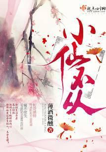 小仙不从封面