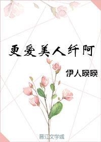 更爱美人纤阿封面