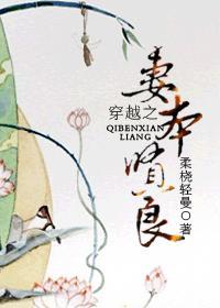 穿越之妻本贤良封面