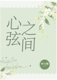 心弦之间封面