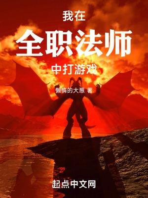 我在全职法师中打游戏封面