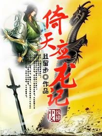 倚天应龙记封面