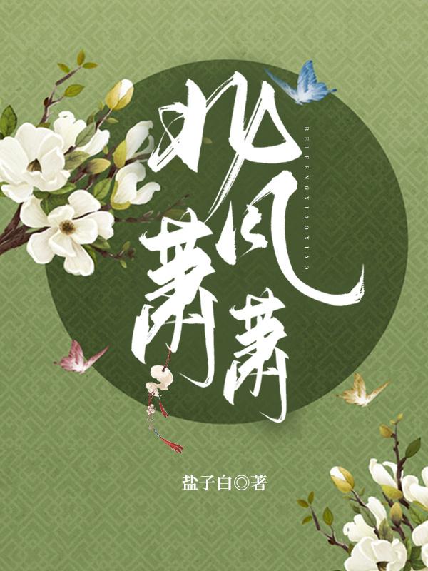 北风萧萧封面
