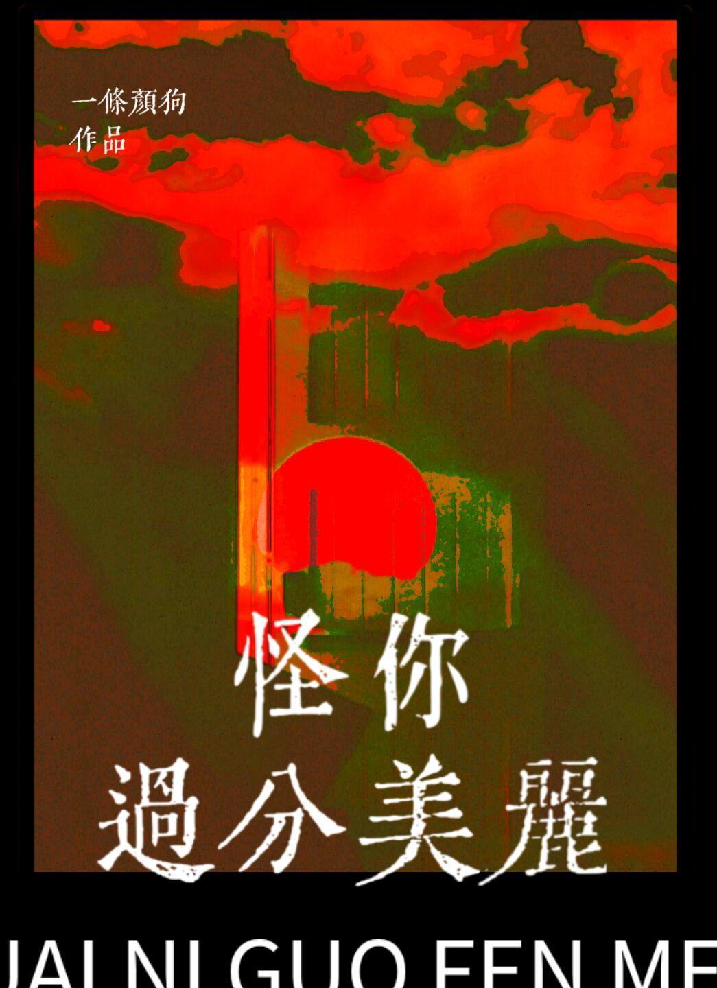 怪你过分美丽封面