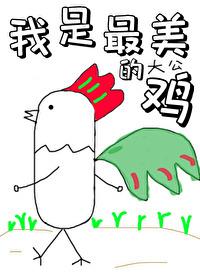 我是最美的大公鸡封面